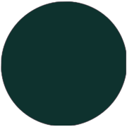 Midnight Green Prom Dresses